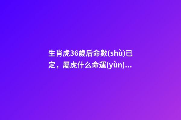 生肖虎36歲后命數(shù)已定，屬虎什么命運(yùn) 生肖虎36歲后命數(shù)已定-第1張-觀點(diǎn)-玄機(jī)派